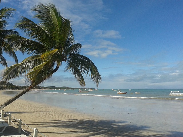 Suco
